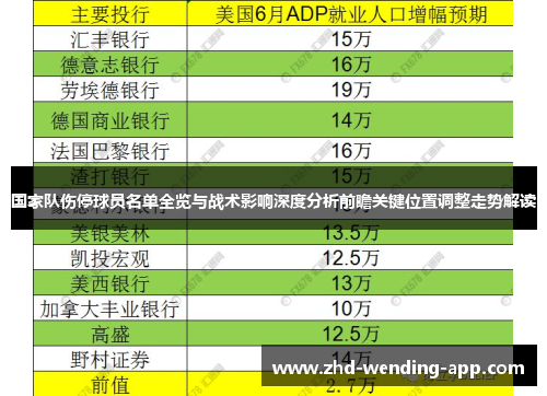 国家队伤停球员名单全览与战术影响深度分析前瞻关键位置调整走势解读